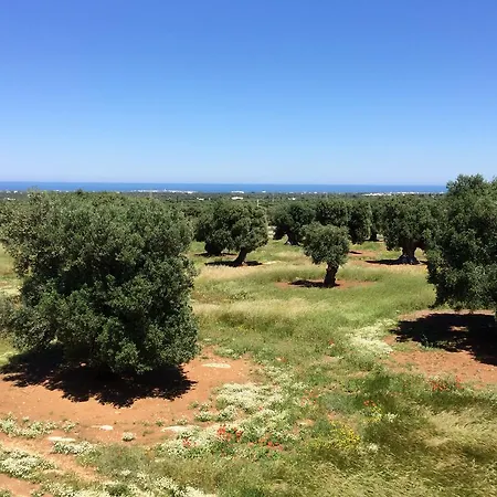 Masseria Capece Фермерский дом